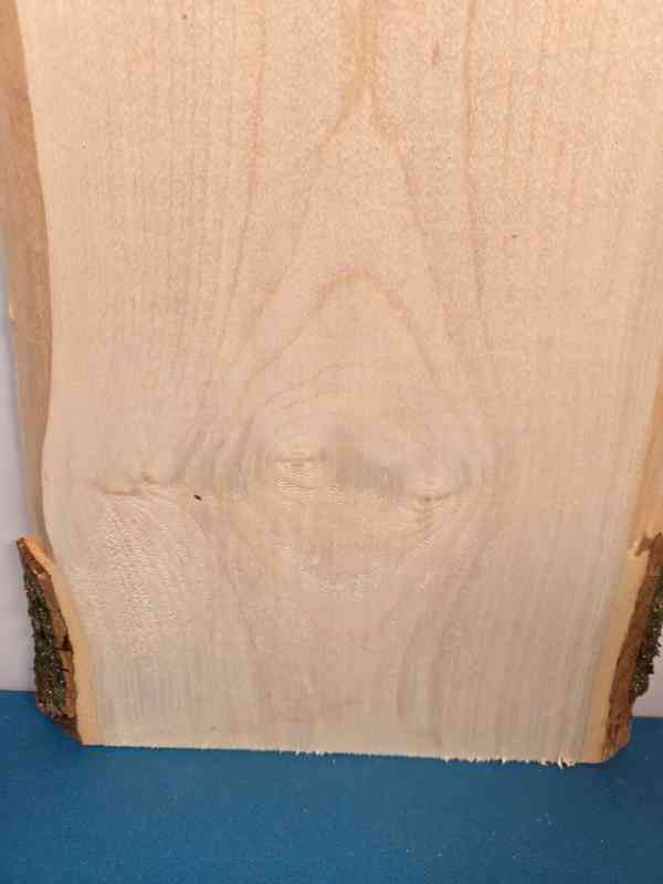 Live edge Sycamore offcut