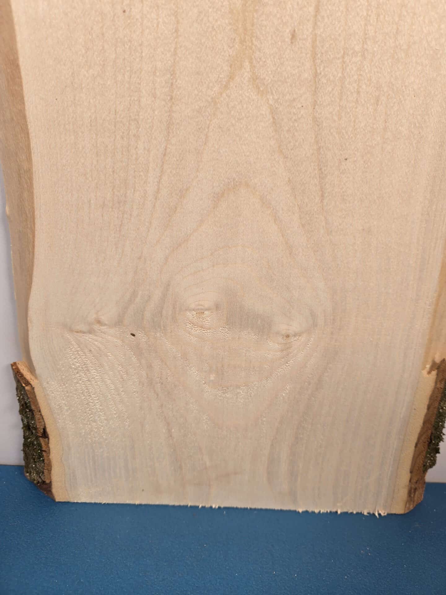 Live edge Sycamore offcut - Image 3