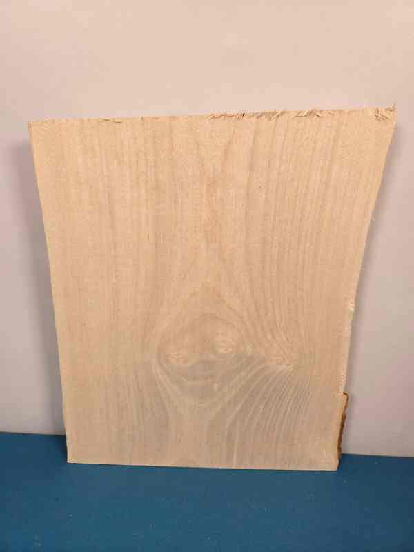 Live edge Sycamore offcut