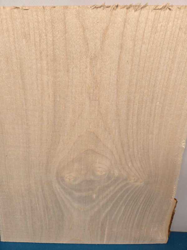 Live edge Sycamore offcut