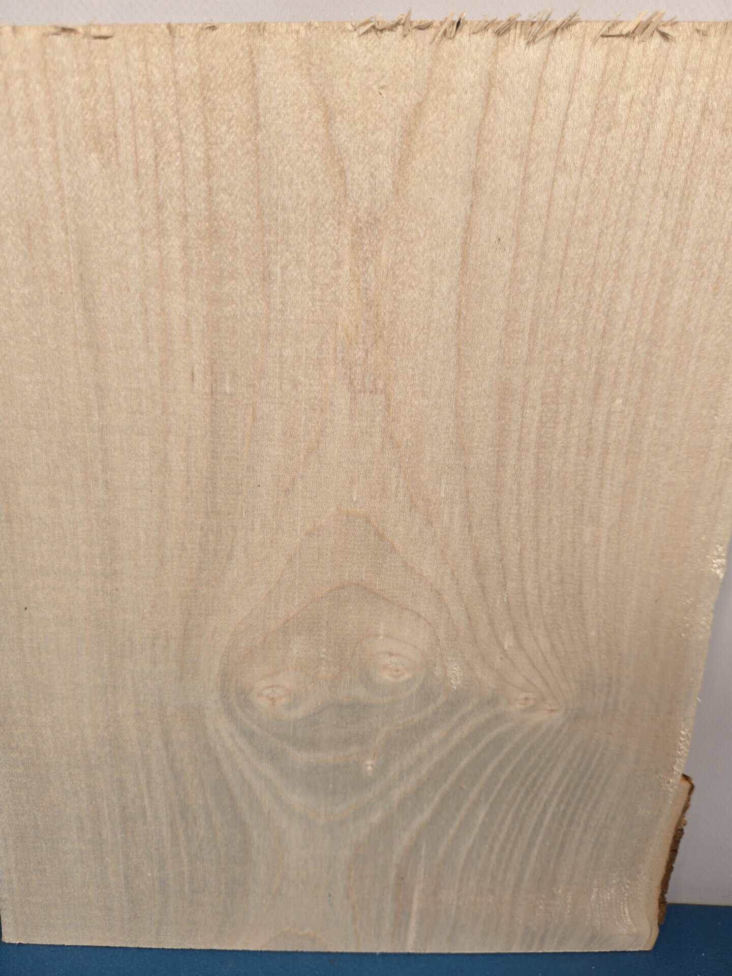 Live edge Sycamore offcut - Image 5