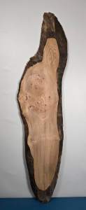 Edge-all-round Elm