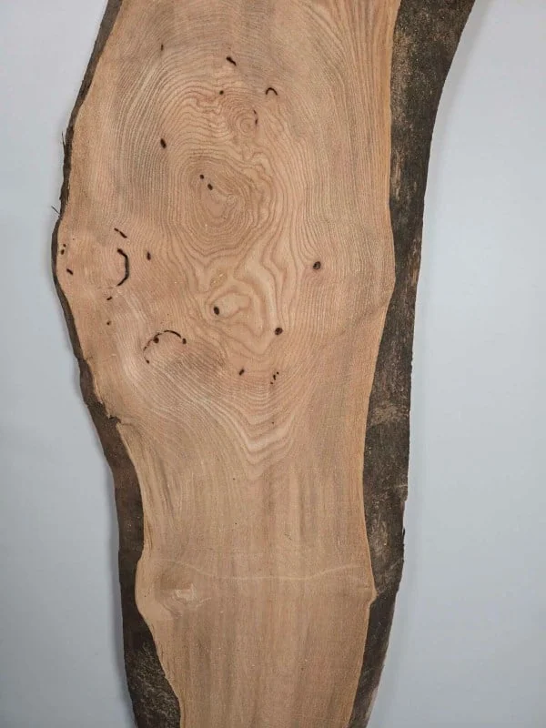 Edge-all-round Elm