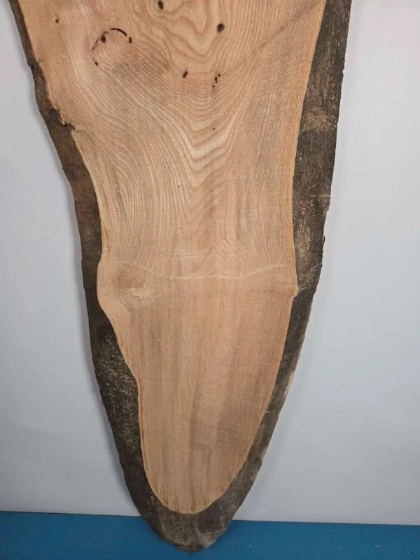 Edge-all-round Elm