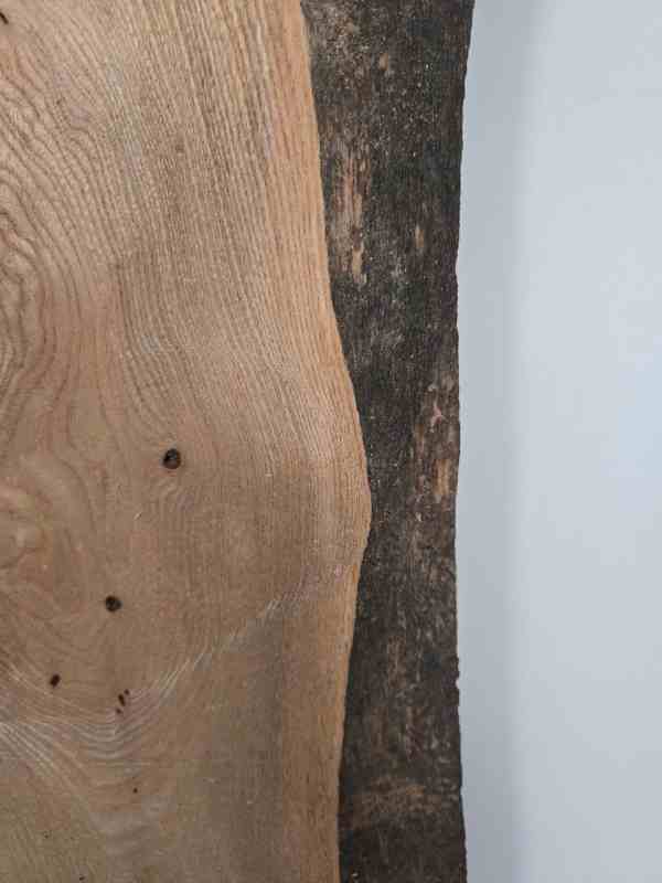 Edge-all-round Elm