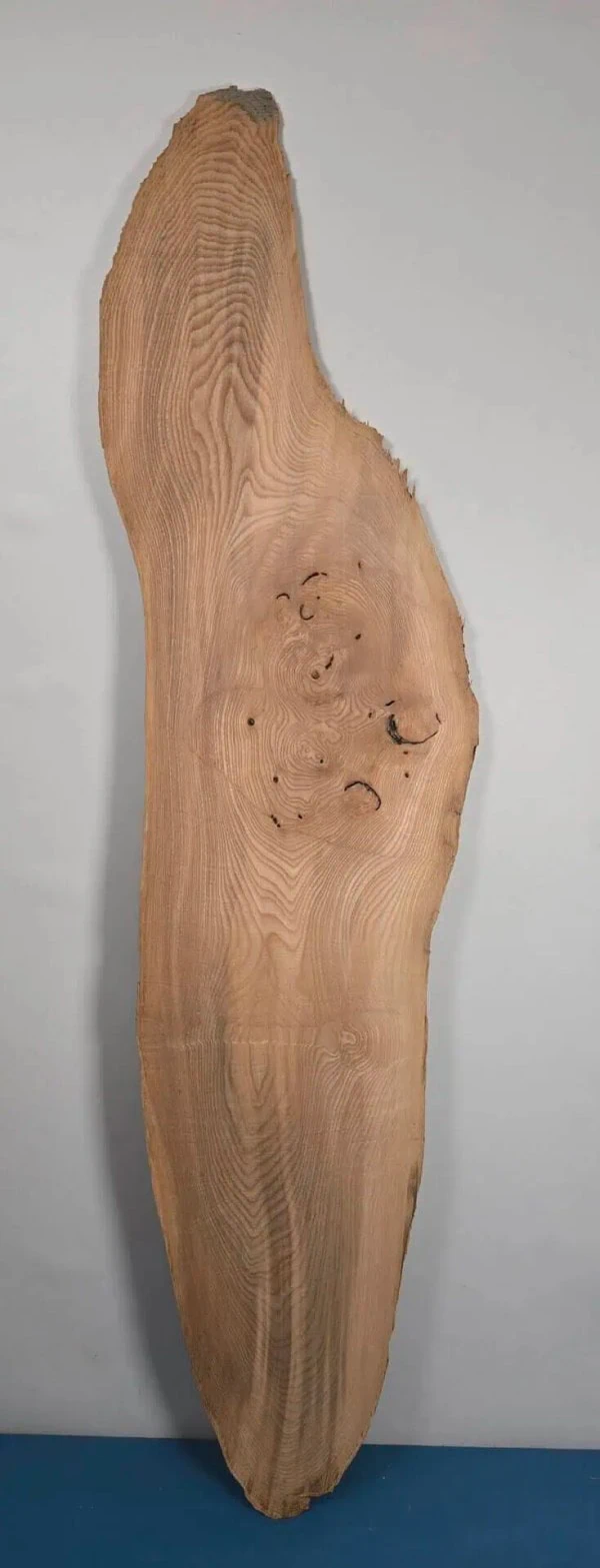Edge-all-round Elm