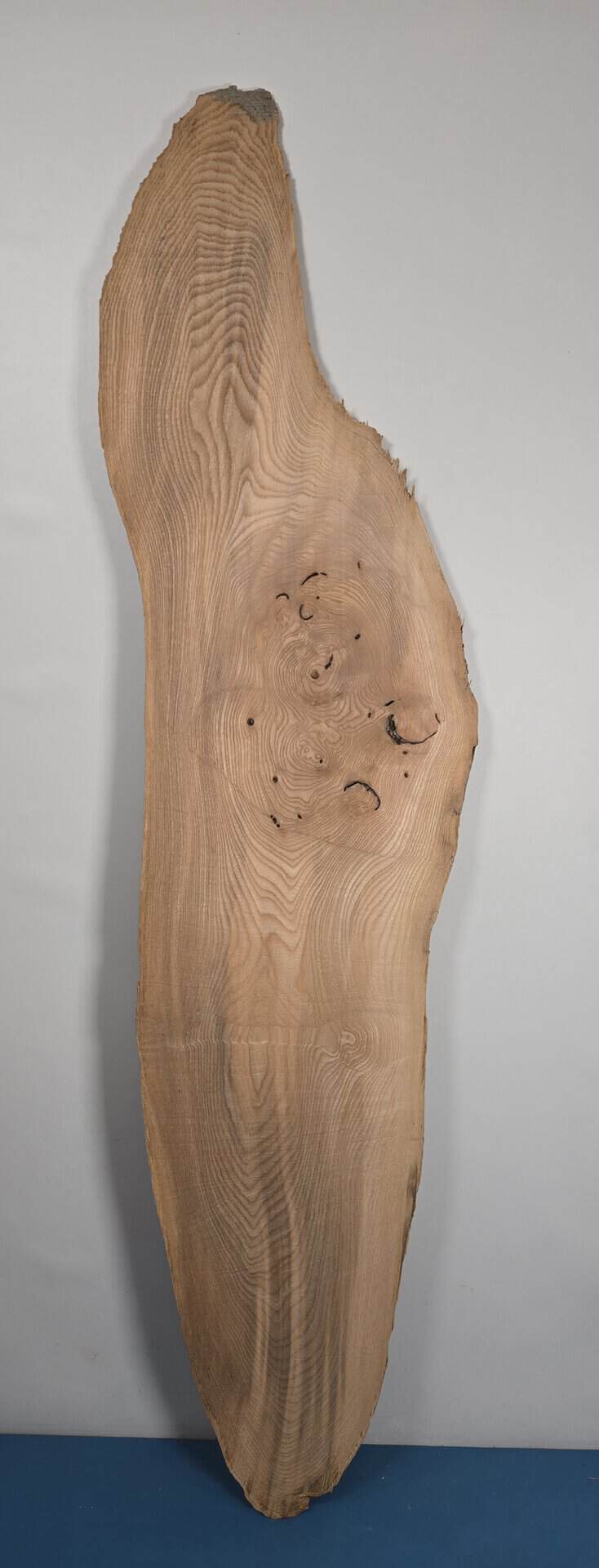Edge-all-round Elm - Image 6
