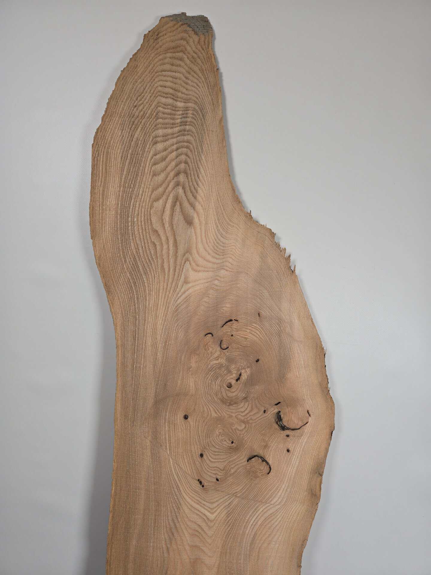 Edge-all-round Elm - Image 7