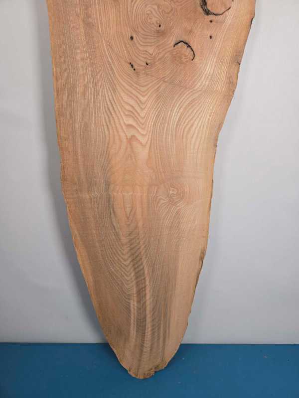 Edge-all-round Elm
