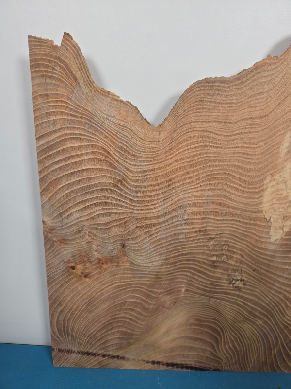 Natural shaped live elm wood slab with wavy grain and rough edges.