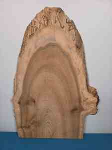 Natural edge Elm