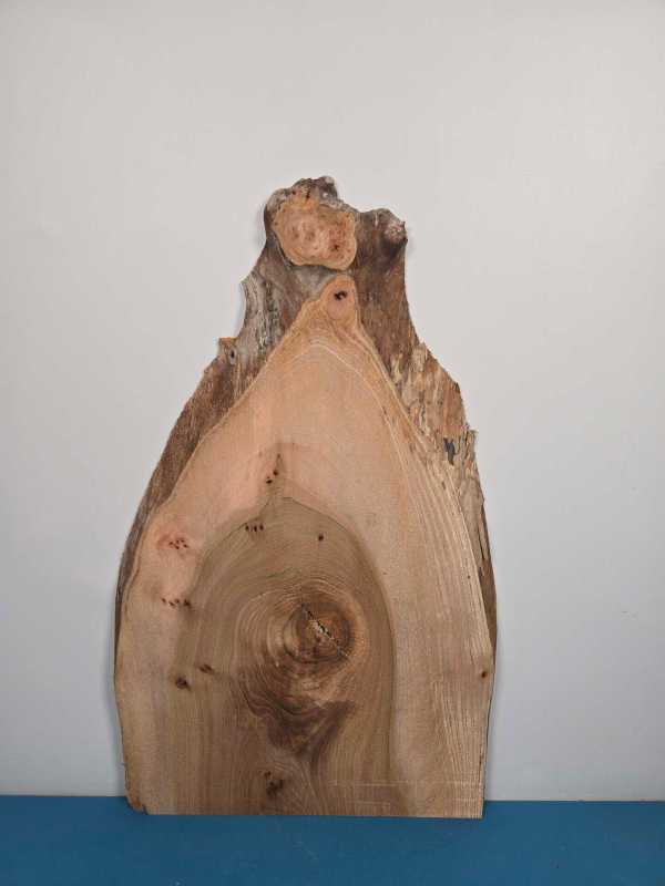 Rustic Elm offcut showing natural wood grain and irregular edges.