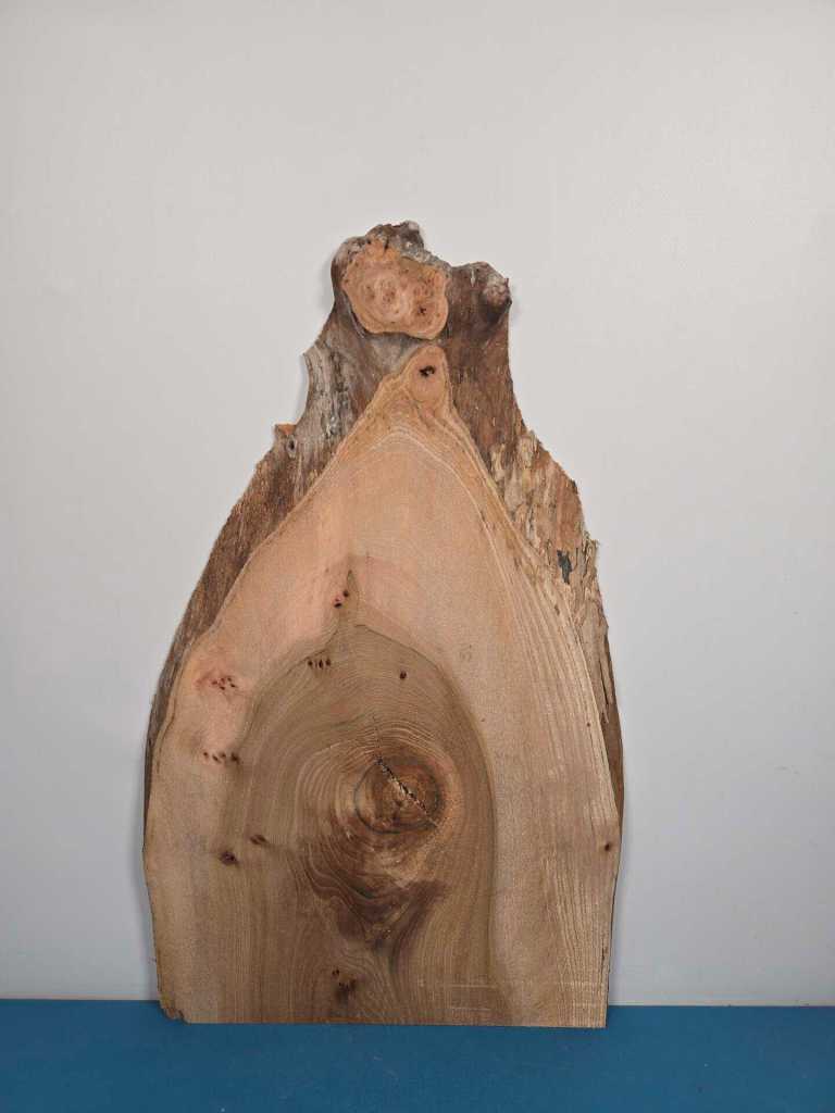 Rustic Elm offcut showing natural wood grain and irregular edges.