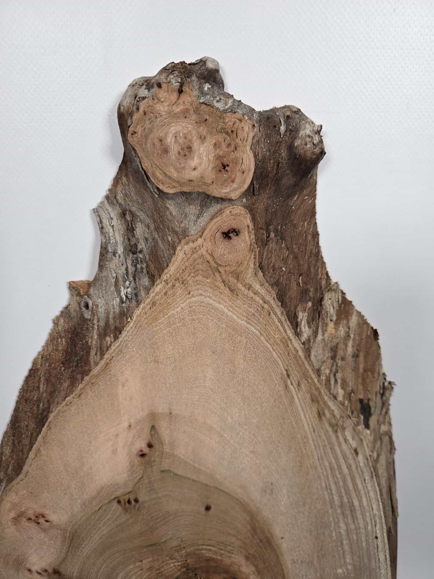 Rustic Elm offcut showing natural grain and bark edges for woodworking projects.