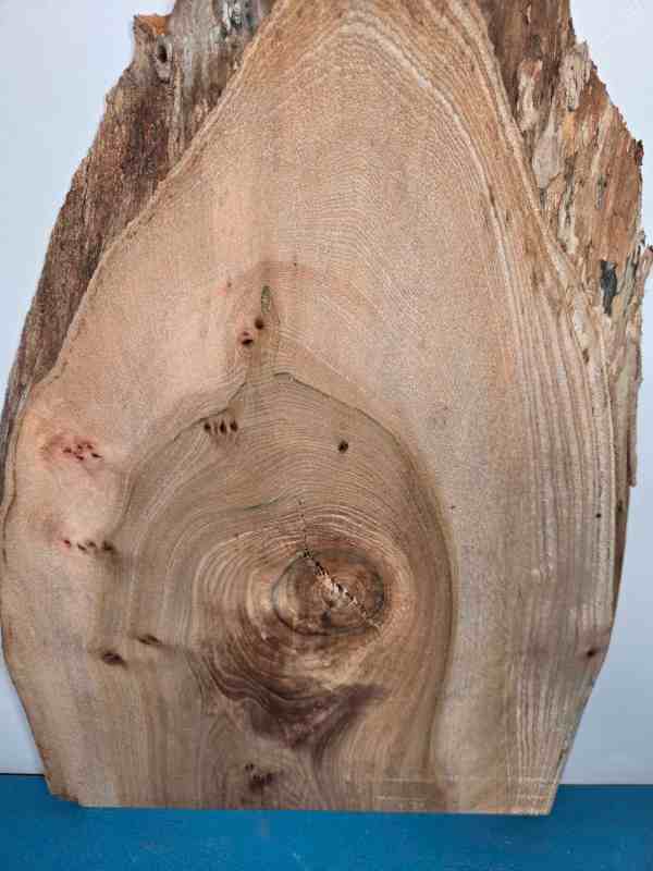 Rustic Elm offcut showing natural wood grain and bark edge for woodworking.
