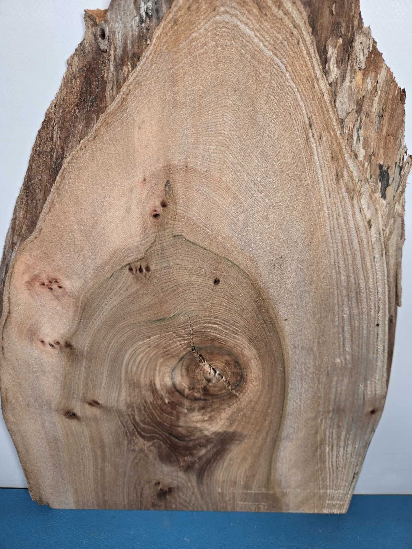 Rustic Elm offcut showing natural wood grain and bark edge for woodworking.