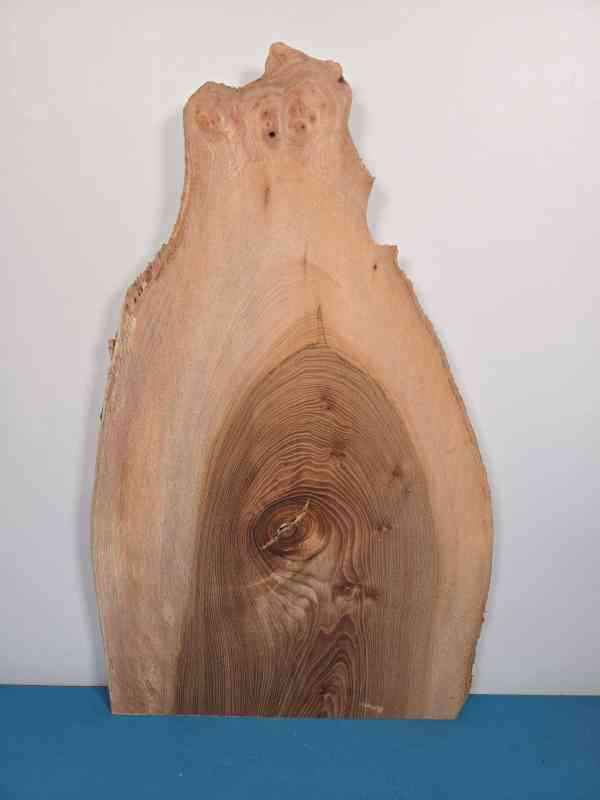 Rustic Elm offcut showing natural wood grain and irregular edges.