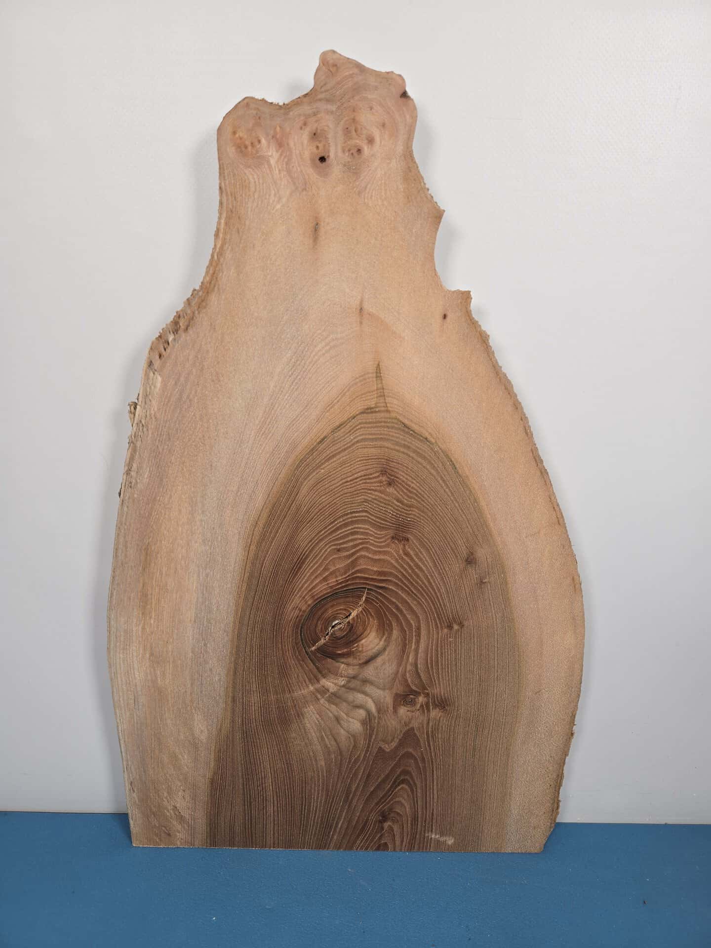Rustic Elm offcut showing natural wood grain and irregular edges.