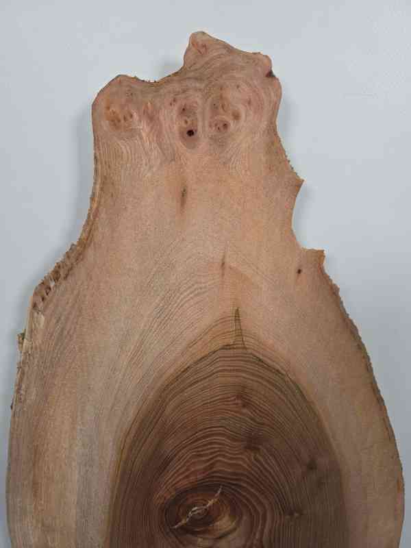 Rustic Elm offcut showing natural wood grain and irregular edges.