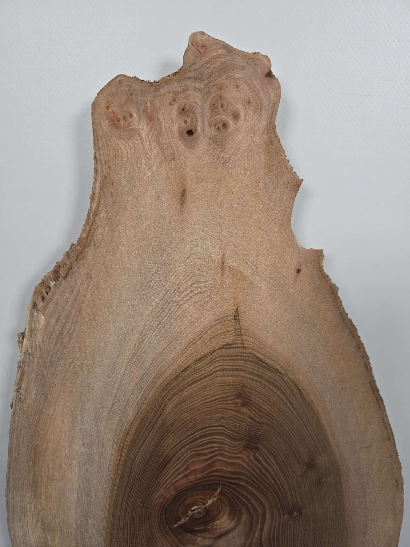 Rustic Elm offcut showing natural wood grain and irregular edges.