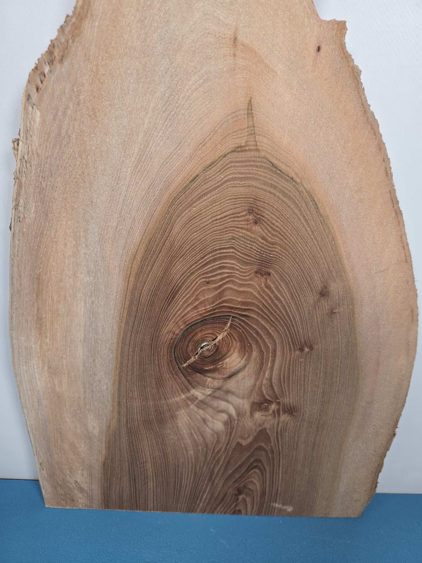 Rustic Elm offcut showing natural grain and irregular edges for woodworking.