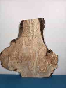 Burr detailed Elm Offcut