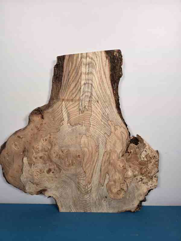 Burr detailed Elm offcut showing intricate grain and natural edges.