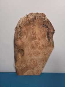 Small Burr Elm offcut