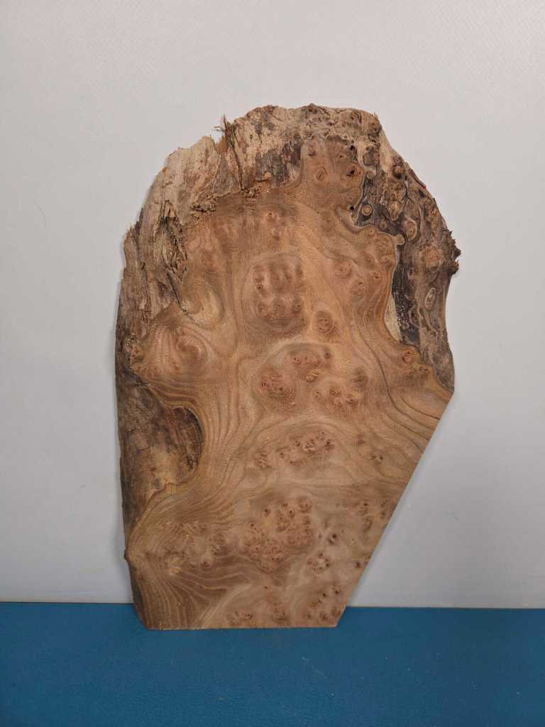 Small Burr Elm offcut showing natural wood grain and burl patterns.