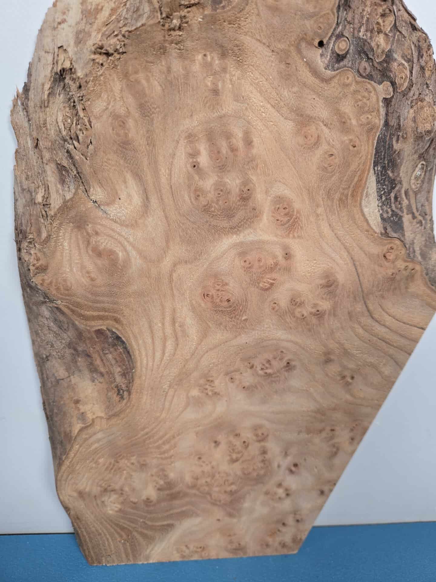 Small Burr Elm offcut showing natural grain and burl patterns in timber.