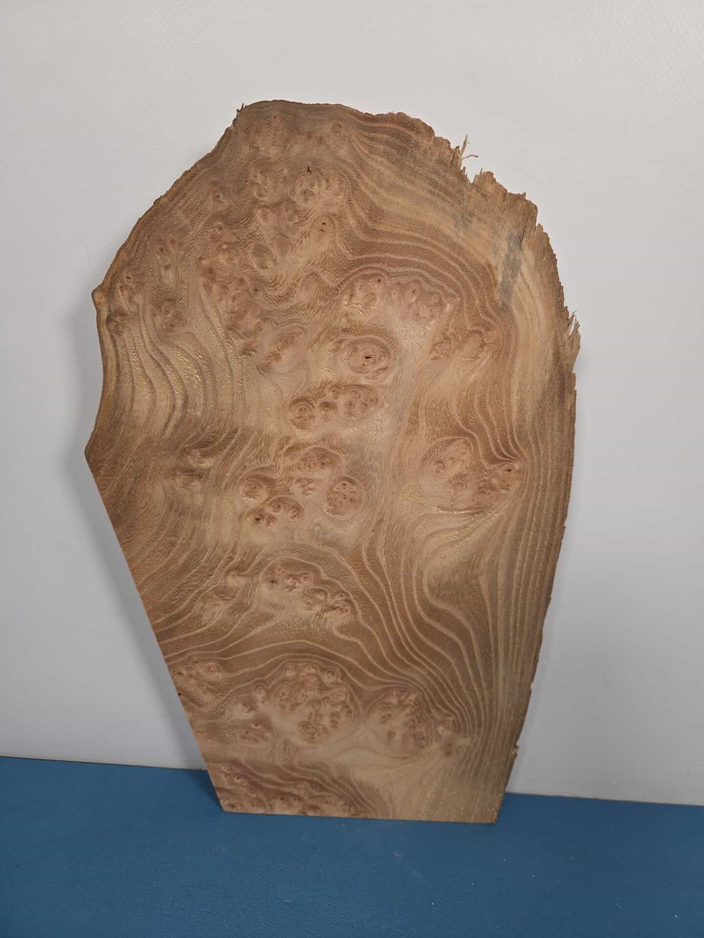 Small Burr Elm offcut showing natural grain and burl patterns in timber.