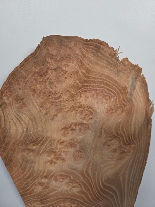 Small Burr Elm offcut showing natural grain and unique burl patterns.