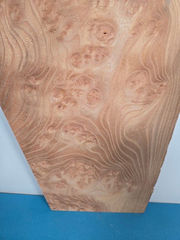 Small Burr Elm offcut showing natural wood grain and burl patterns.