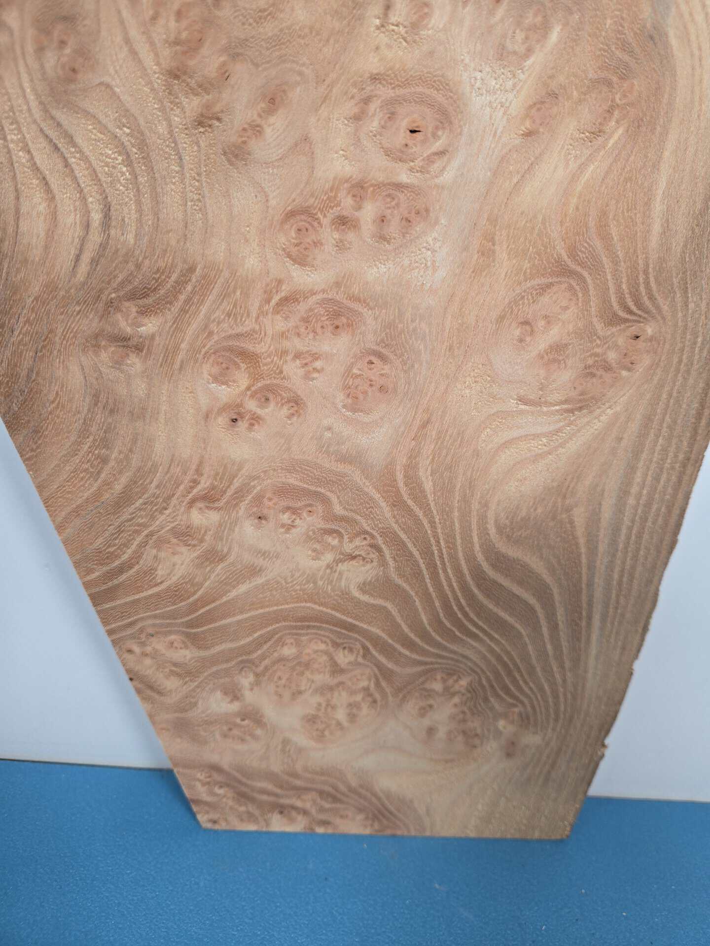 Small Burr Elm offcut showing natural wood grain and burl patterns.