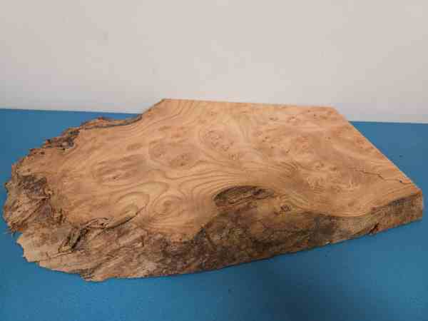 Small Burr Elm offcut showing natural wood grain and irregular edges.