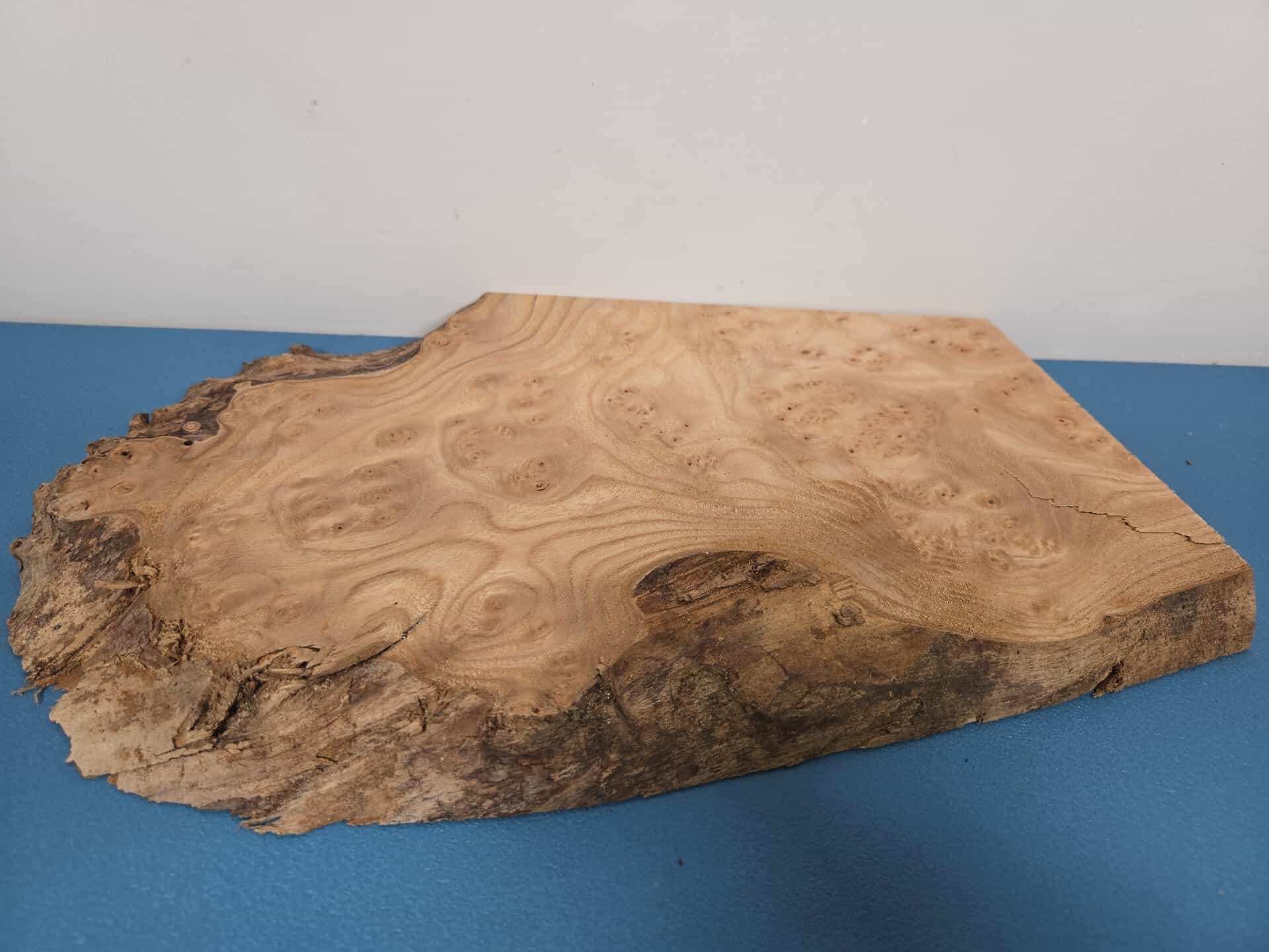 Small Burr Elm offcut showing natural wood grain and irregular edges.