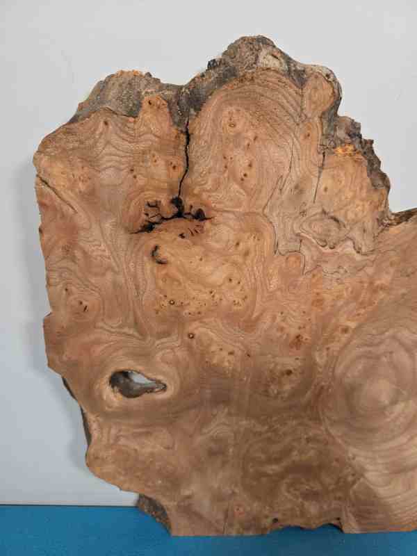 Burr Elm slice showing natural grain and irregular edges for woodworking.