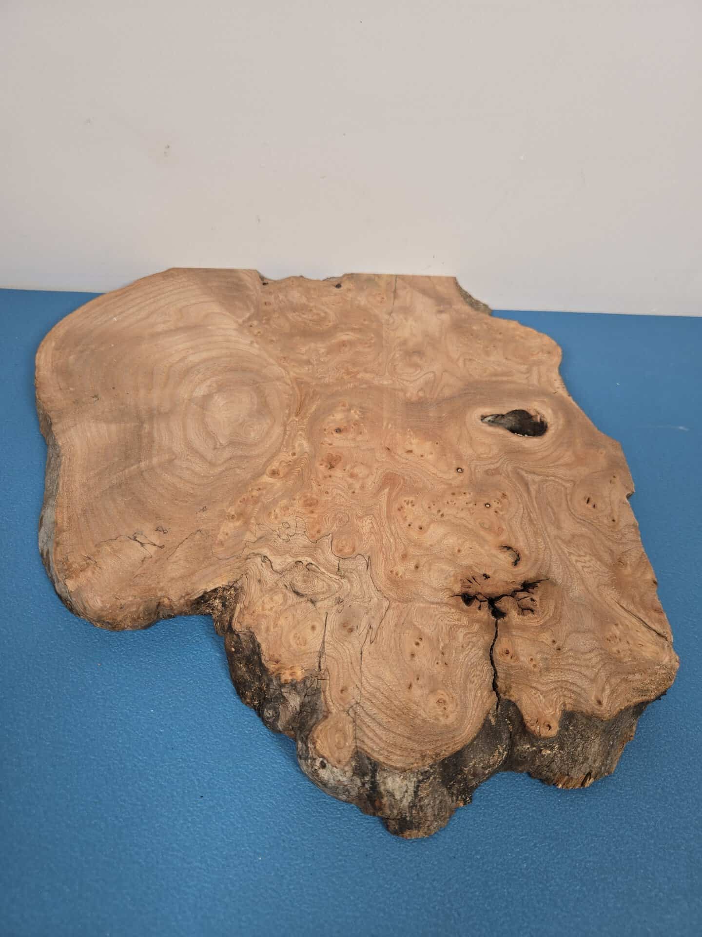 Burr Elm slice showing natural grain and irregular edges for woodworking.