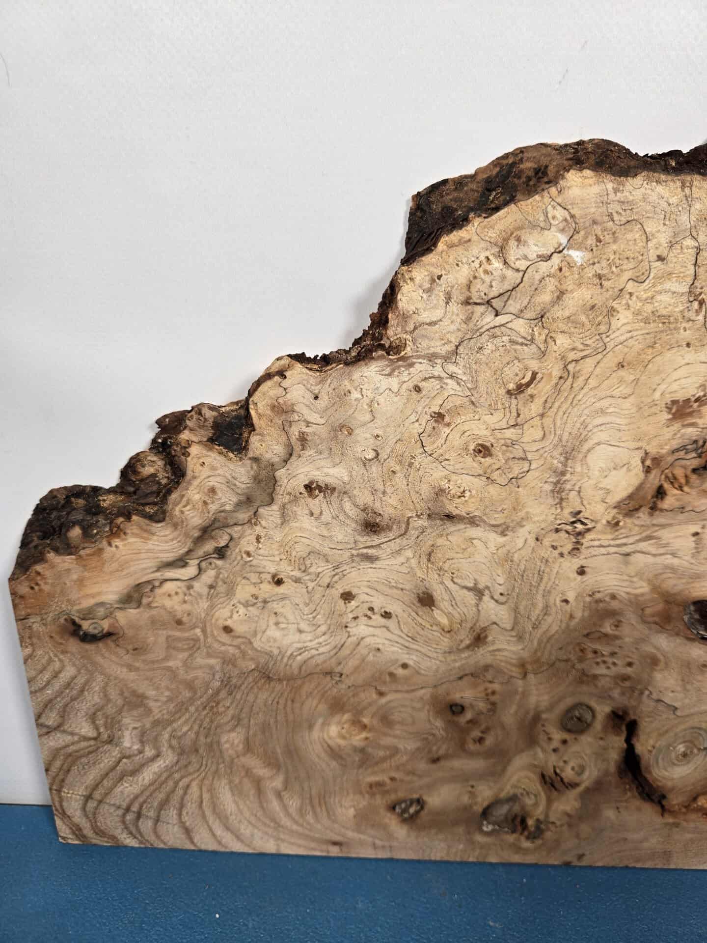 Wild Burr Elm offcut showing natural grain and irregular edges for woodworking.