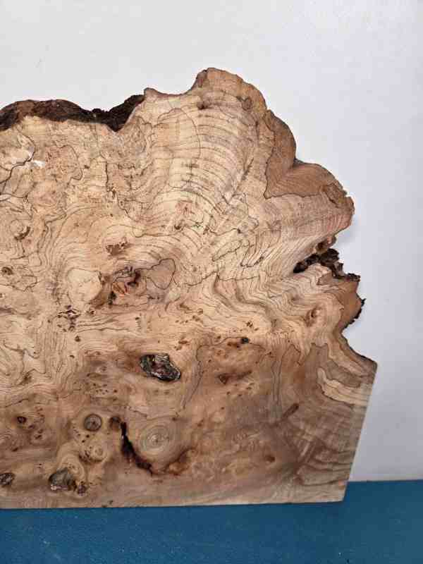 Wild Burr Elm offcut showing natural grain and irregular edges for woodworking.