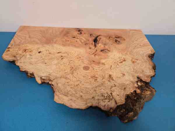 Wild Burr Elm offcut showing natural edge and intricate grain pattern.