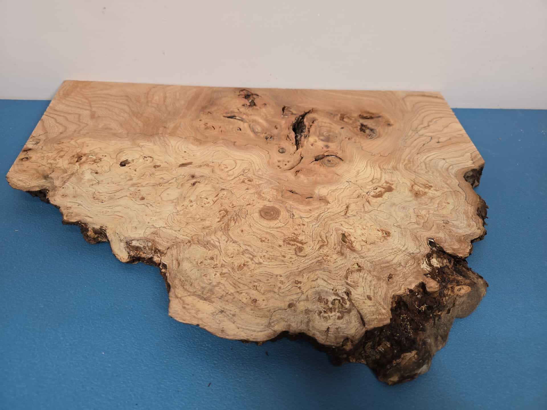Wild Burr Elm offcut showing natural edge and intricate grain pattern.