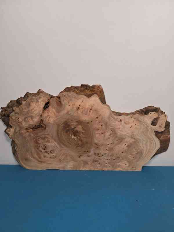 Stunning Burr Elm offcut showing intricate grain and natural edge details.