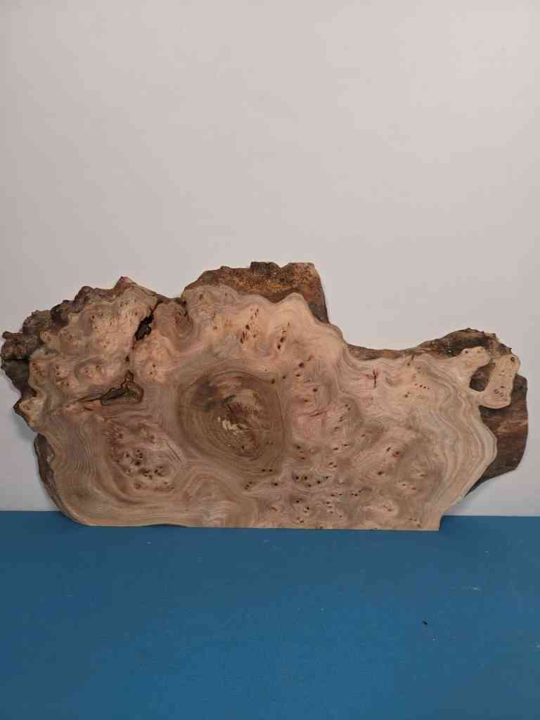 Stunning Burr Elm offcut showing intricate grain and natural edge details.