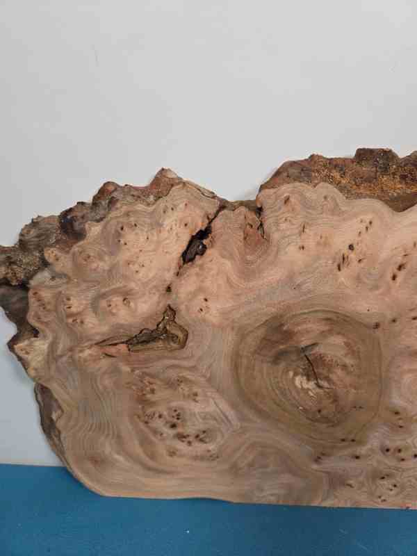 Burr Elm offcut showing intricate grain patterns and natural wood colours.