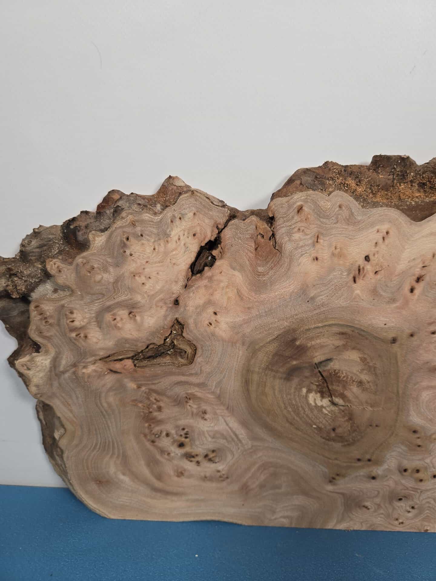 Burr Elm offcut showing intricate grain patterns and natural wood colours.