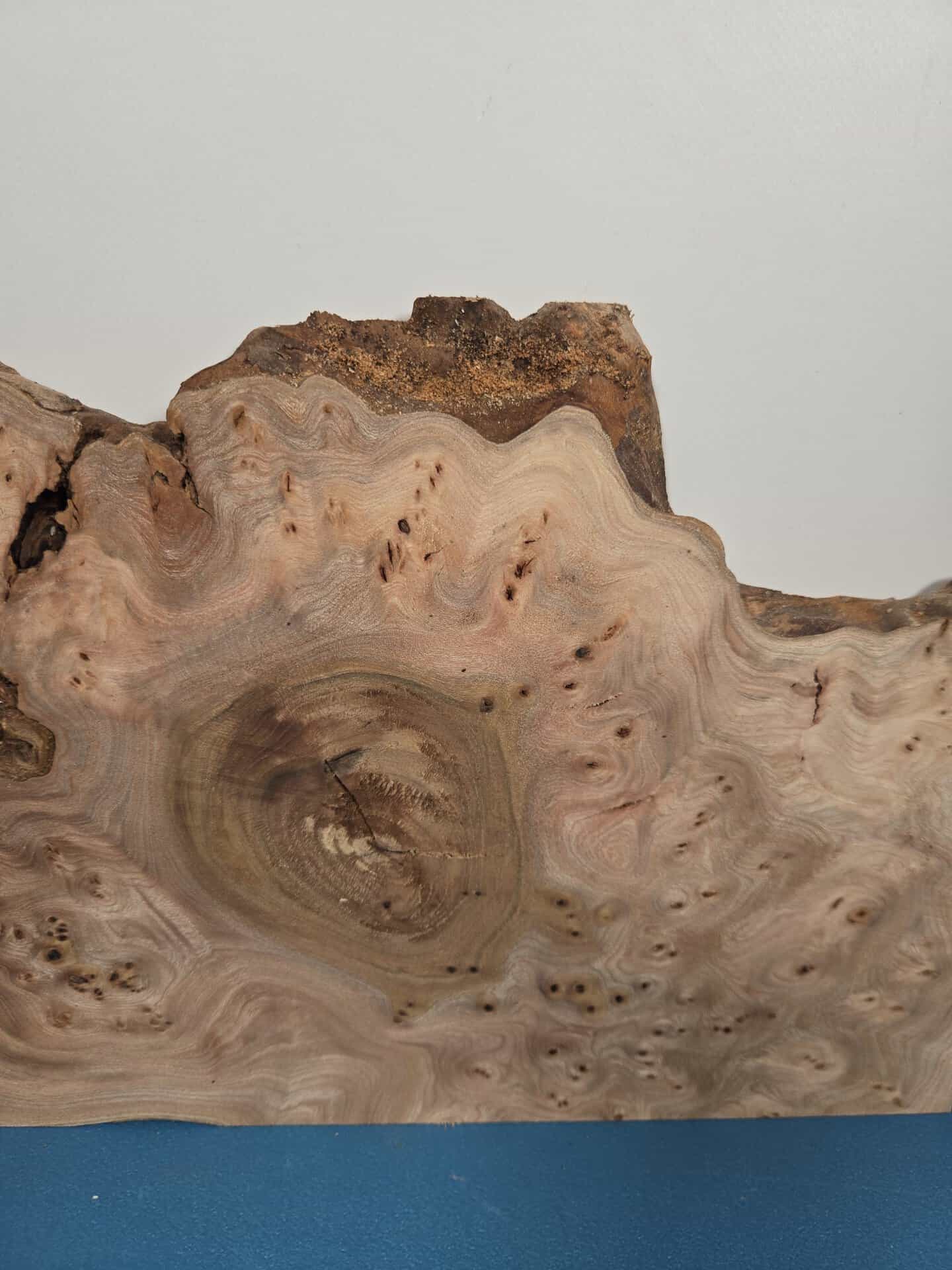 Burr Elm offcut showing intricate grain and natural wood patterns.