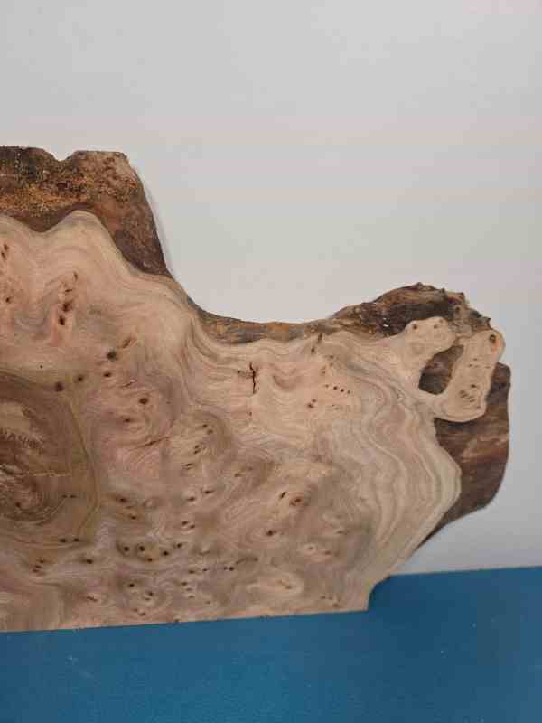 Burr Elm offcut showing intricate grain and natural edges for woodworking.