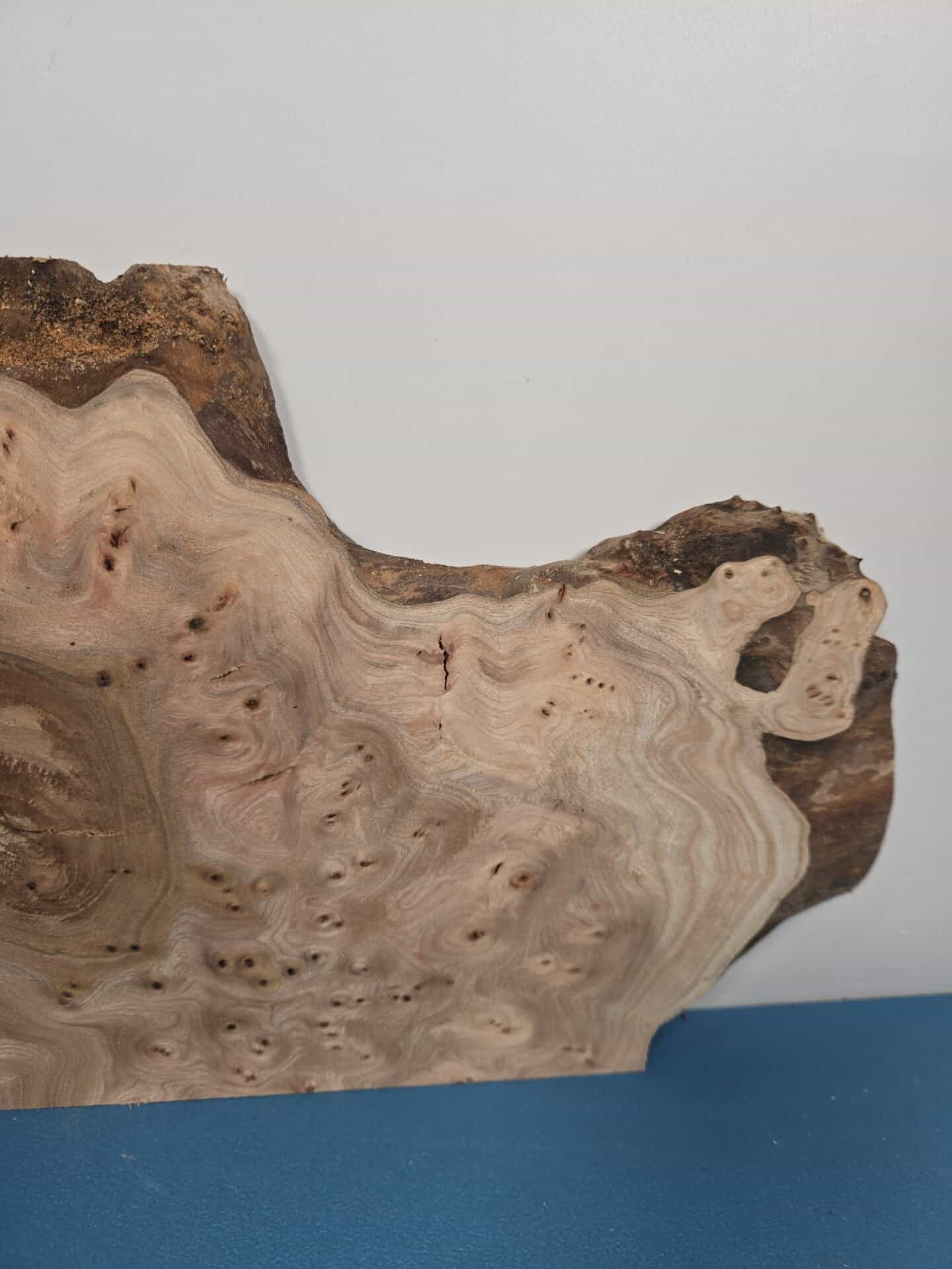 Burr Elm offcut showing intricate grain and natural edges for woodworking.