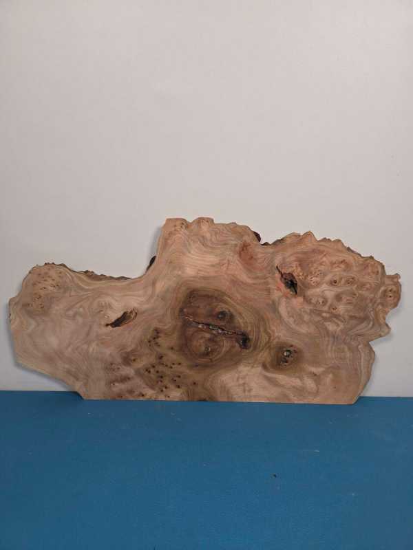 Scottish Burr Elm offcut showing intricate grain and natural edge detail.
